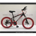 Steel/Alloy Ce Approved 24"-28" Mountain Bike, MTB